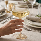 Minimalist Pastel Tinted Coupe Glass Set (Set of 6)